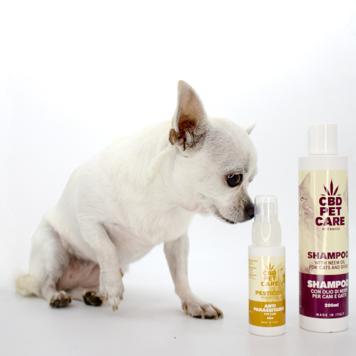 Shampoo para Cães e Gatos
