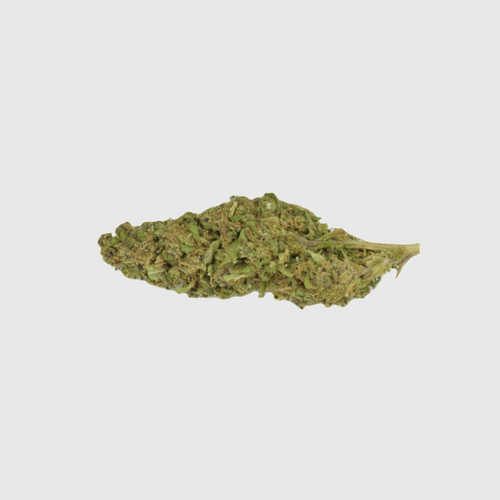 Gelato 1g