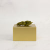 Eucalypso CBD 3gr - Edição Limitada