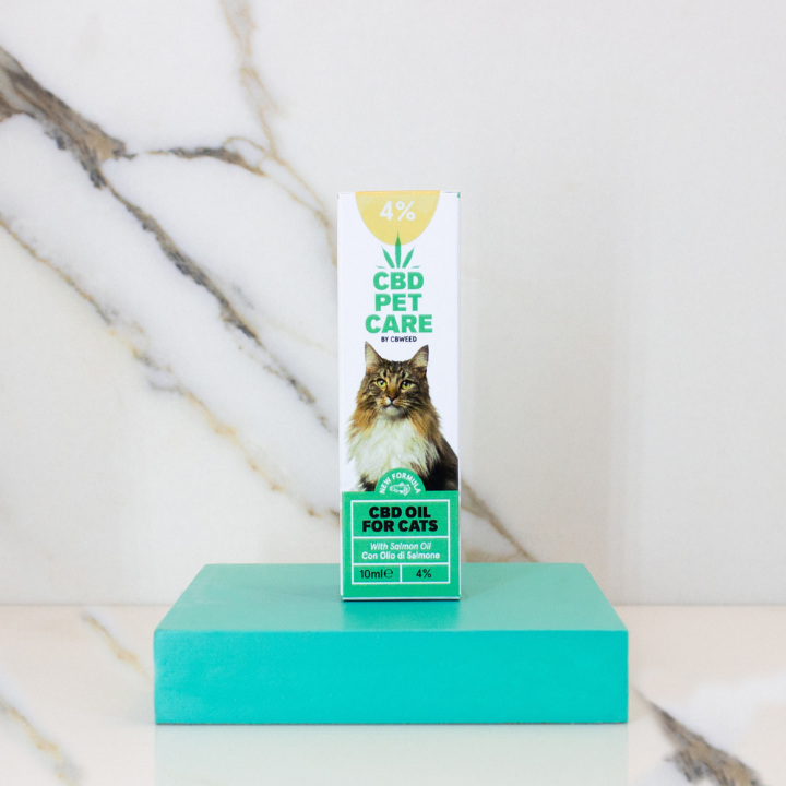 Óleo CBD para Gatos