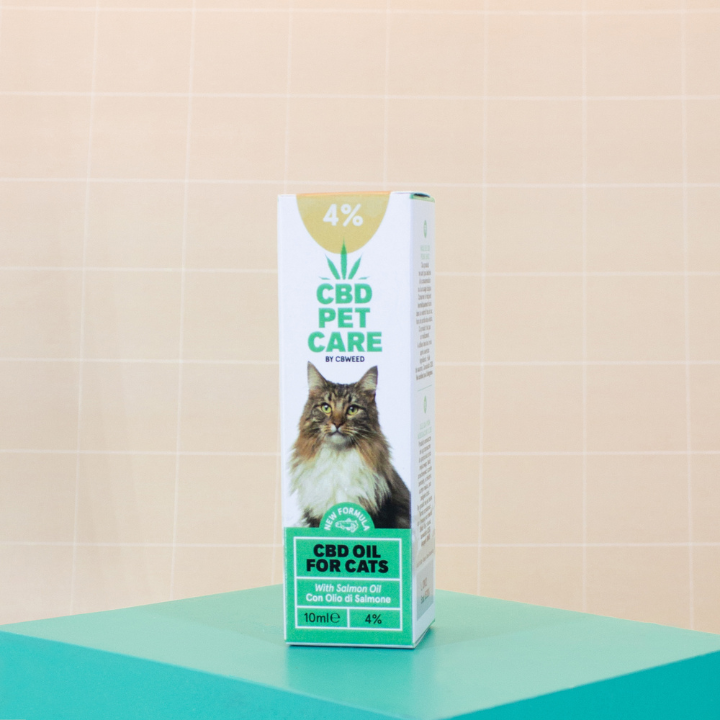 Óleo CBD para Gatos