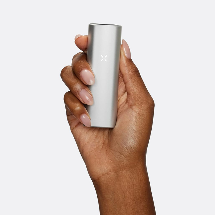 Vaporizador PAX Mini Silver