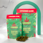 Watermelon CBD