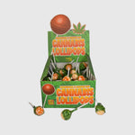 Chupa-chupa Orange Bud